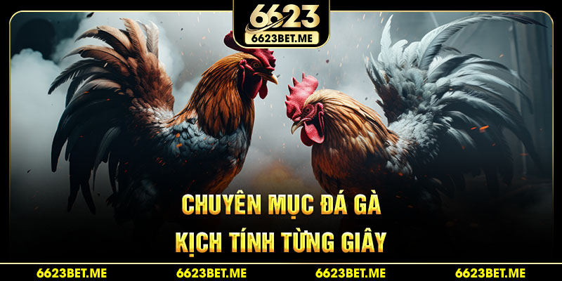 chuyen-muc-da-ga-kich-tinh-tung-giay