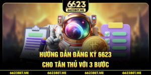 huong-dan-dang-ky-6623-cho-tan-thu-voi-3-buoc