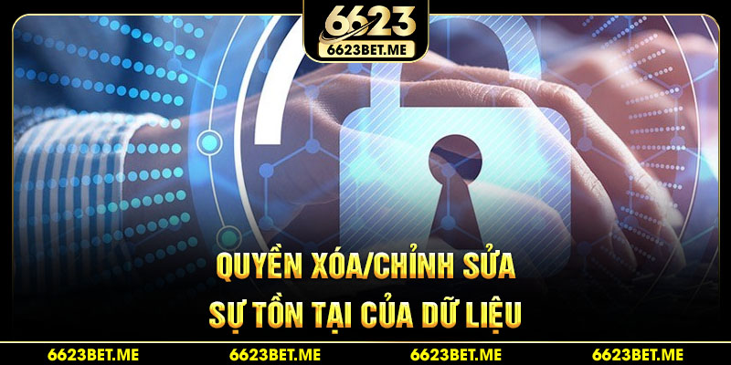 quyen-xoa-chinh-sua-su-ton-tai-cua-du-lieu